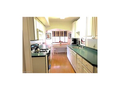 Awesome Kitchen with Tons of Natural Light !