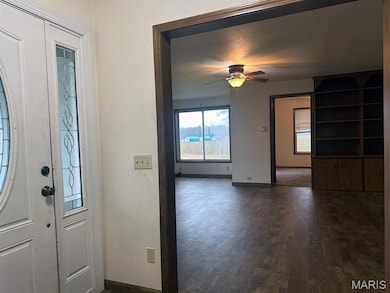 14007 State Highway Ww, Dudley, MO 63936 - photo 5