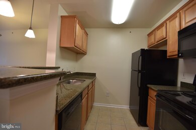 The Four Winds at Oakton unit 4-E11, Oakton, VA 22124 - photo 5