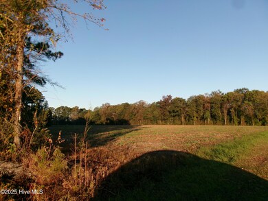 840 Wilmar Rd, Vanceboro, NC 28586 - photo 5