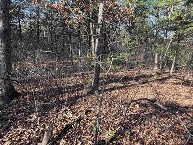 555-00002-000 Marion County 3063, Yellville, AR 72687 - photo 5