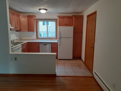 54 Lionel Ave unit C, Waltham, MA 02452 - photo 2