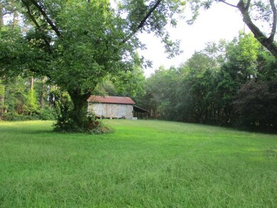Front yard with building