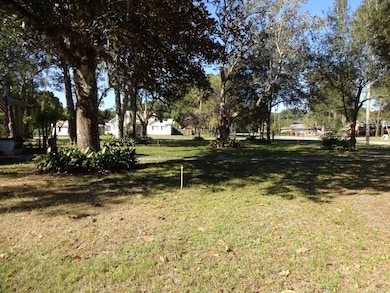 207 E 2nd Ave, Pierson, FL 32180 - photo 6