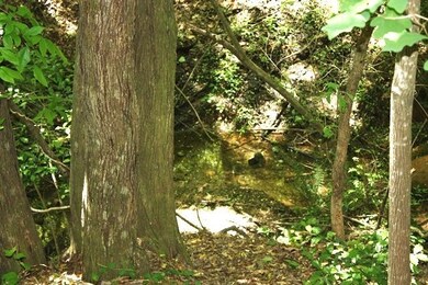 00 Old Station Rd, West Union, SC 29696 - photo 4