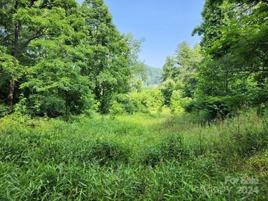 000 Hickory Nut Ridge Rd unit 10, Burnsville, NC 28714 - photo 2