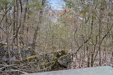 Lot 9 Ledges Way (5)