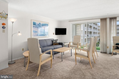 Thunder Island unit 73B, Ocean City, MD 21842 - photo 3