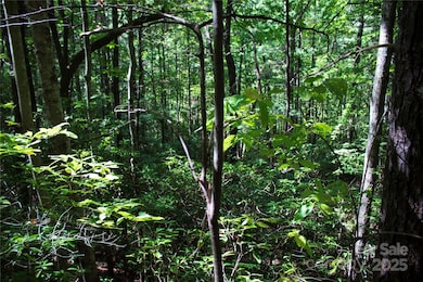 TBD Frozen Creek None unit 34, Brevard, NC 28712 - photo 4