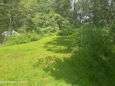 138 S Keyser Ave, Scranton, PA 18504 - photo 5