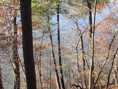 1694 Westview Dr unit 17, Allegan, MI 49010 - photo 7