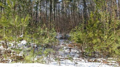 48 Chamberlin Way, New Durham, NH 03855 - photo 3