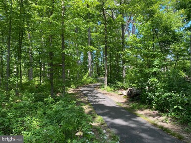 10259 Mayapple Ct, Bristow, VA 20136 - photo 7