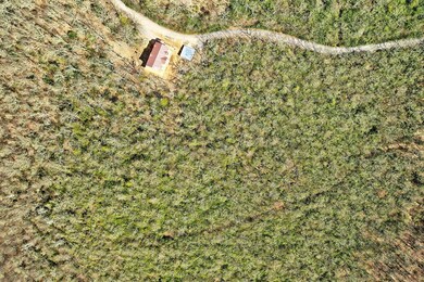 Drone photo birdseye view