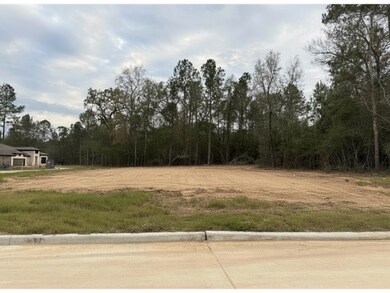 1609 Leona Ln, Montgomery, TX 77316 - photo 4