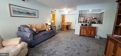 Altemus Farms unit GG5, Brookhaven, PA 19015 - photo 4