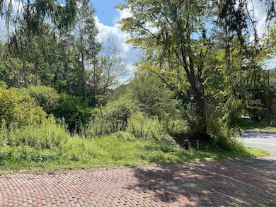 1st and Spruce Street Corner, Thomas, WV 26292 - photo 7