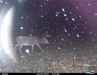 0 Ormsby Rd, Deerbrook, WI 54424 - photo 4