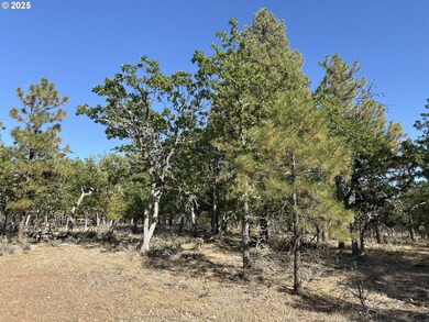 0 Hope Grove unit 430872245, Goldendale, WA 98620 - photo 5
