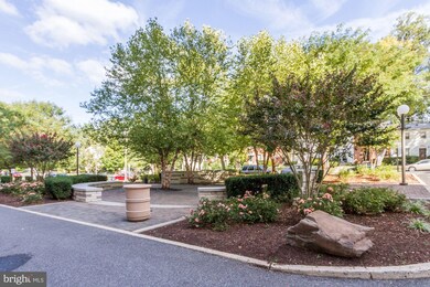 Park Sutton Condominiums, Silver Spring, MD 20910 - photo 7
