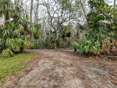 409 6th St E, Steinhatchee, FL 32359 - photo 6