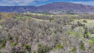 DJI_20250401141706_0302_D-HDR