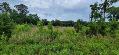 7400 Pauley Swamp Rd, Conway, SC 29527 - photo 2