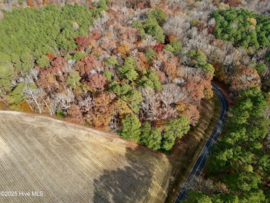 0 Williams St, Williamston, NC 27892 - photo 5