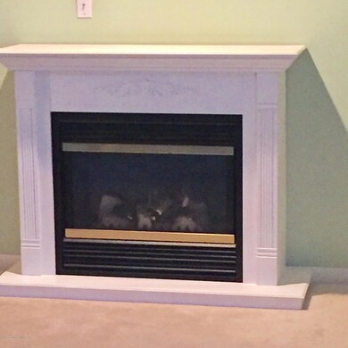 elec fireplace