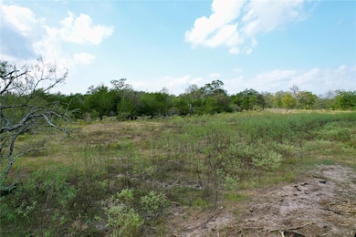 TBD Lot 20 Kovar Rd, Flatonia, TX 78941 - photo 6
