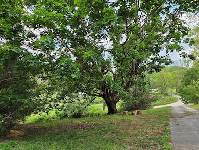 39075 Widener Valley Rd, Chilhowie, VA 24319 - photo 7