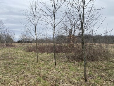 0 Unionville Deason Rd unit RTC2366203, Bell Buckle, TN 37020 - photo 2