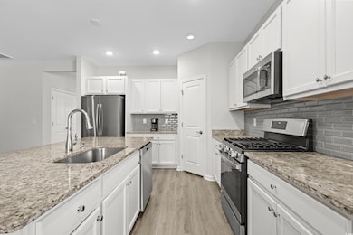Kitchen featuring sink, white cabinetry, light har