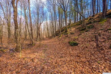 131 Benton Rd, Gallatin, NY 12502 - photo 5