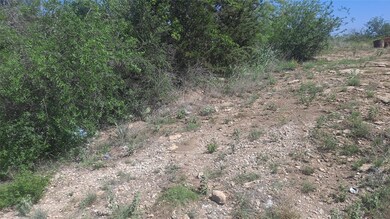 7174 Ballycastle Dr, Brownwood, TX 76801 - photo 4