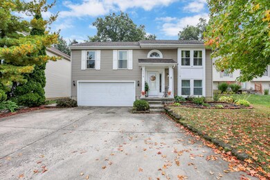 6-web-or-mls-0D3A9442