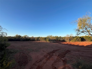 482 County Road 151, Tuscola, TX 79562 - photo 3