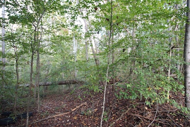 1559 Country Estates Rd, Inman, SC 28349 - photo 2