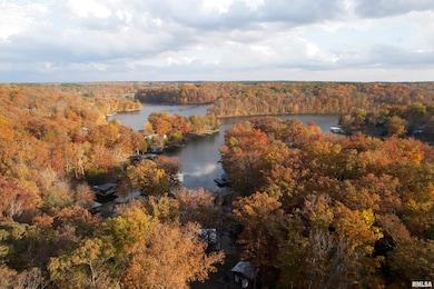 1415 Lake Shore Dr S, Goreville, IL 62939 - photo 5