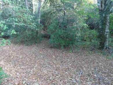 413 Silverstone Dr, Seneca, SC 29672 - photo 7