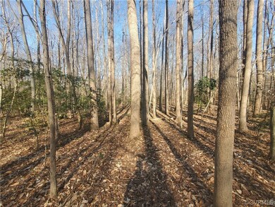 0 Cammack Dr unit 2204476, Ruther Glen, VA 22546 - photo 2