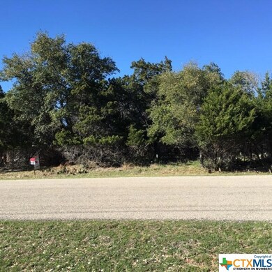 5062 Comanche Dr, Temple, TX 76502 - photo 3