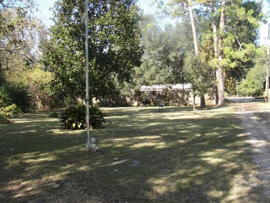 DSC06341