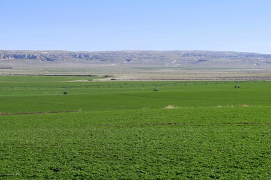 Alfalfa.Fields.pivots