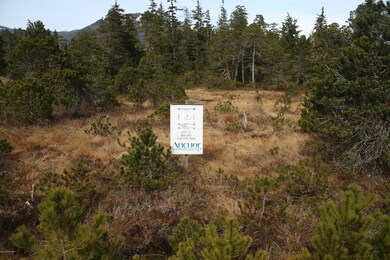 Bayview Lot 12.JPG