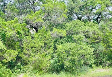 16626 Yaupon Valley, Helotes, TX 78023 - photo 2