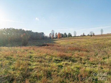 1888 Pea Ridge Rd, Mill Spring, NC 28756 - photo 7