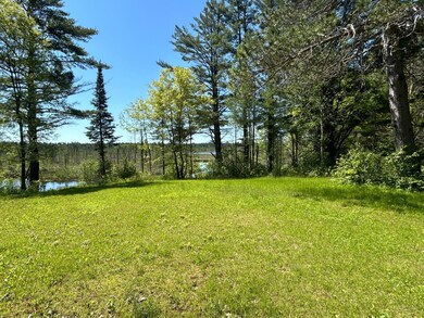 10041 Grassy Lake Rd, Boulder Junction, WI 54512 - photo 4