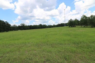 AB985 TR36-1 County Road 1028, Newton, TX 75966 - photo 7