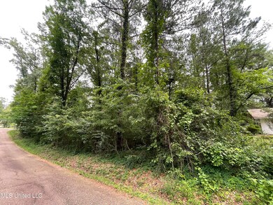IMG-8780